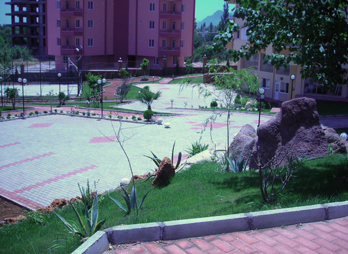 zenpeyzaj-3 zenpeyzaj-3